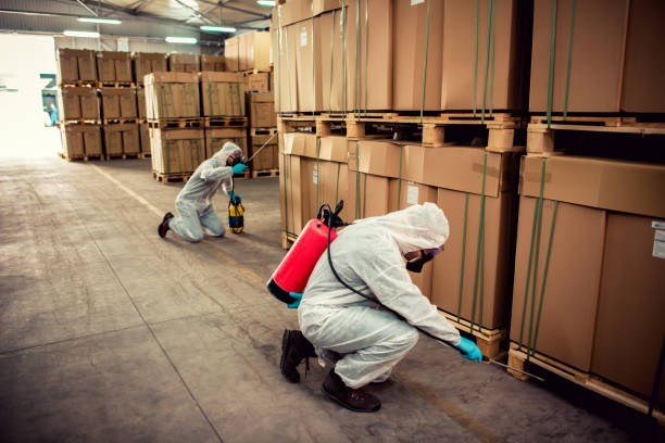 Best Affordable Pest Control Services  in Yeadon, PA
