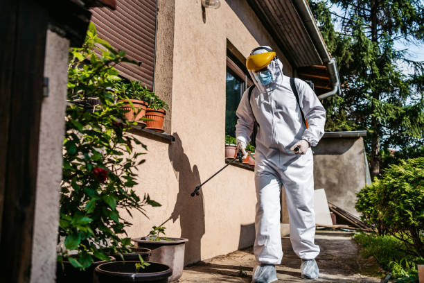 Best Flea Control Services  in Yeadon, PA