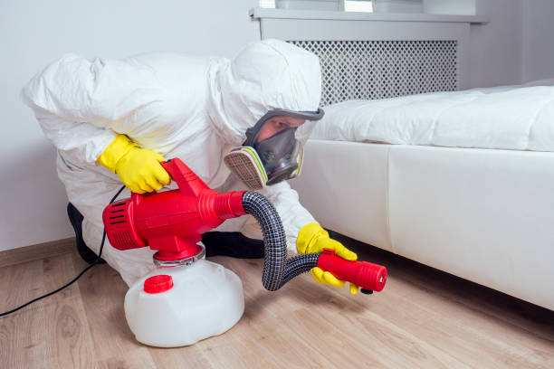 Best Emergency Pest Control  in Yeadon, PA