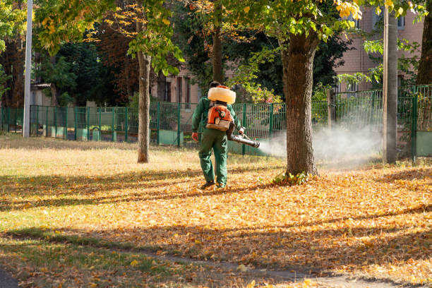 Yeadon, PA Pest Control Pros