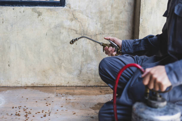 Best Pest Removal Services  in Yeadon, PA
